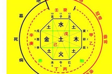 五行測驗|生辰八字算命、五行喜用神查询（免费测算）